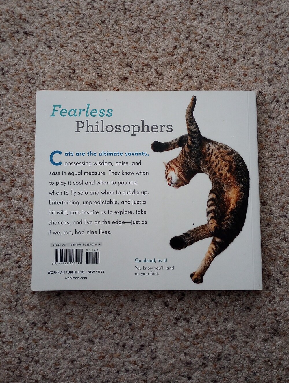 Lot Of Cat Books 5 Total Cats Kittens Cute Pictures Facts - Picture 13 of 13
